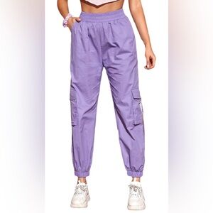 Purple Streetwear Cargo Pants/Joggers